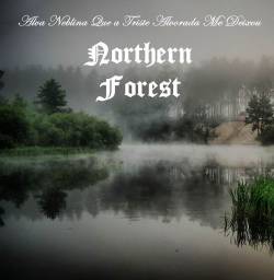 Northern Forest : Alva Neblina Qua a Triste Alvorada Me Deixou